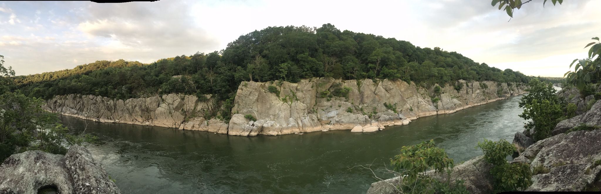 Wide river with rocky cliffs and dense green forest under an overcast sky. - Great Falls Overlook via Billy Goat Trail Section A