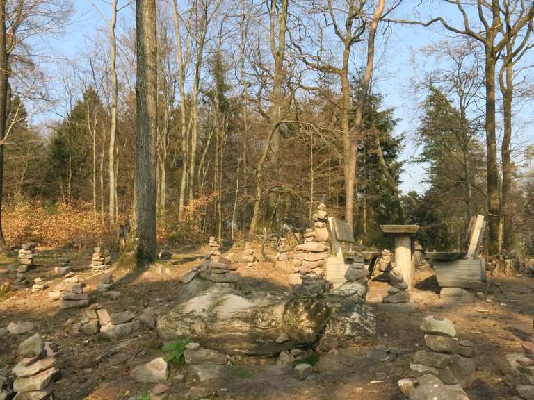 singletrail rheinland-pfalz