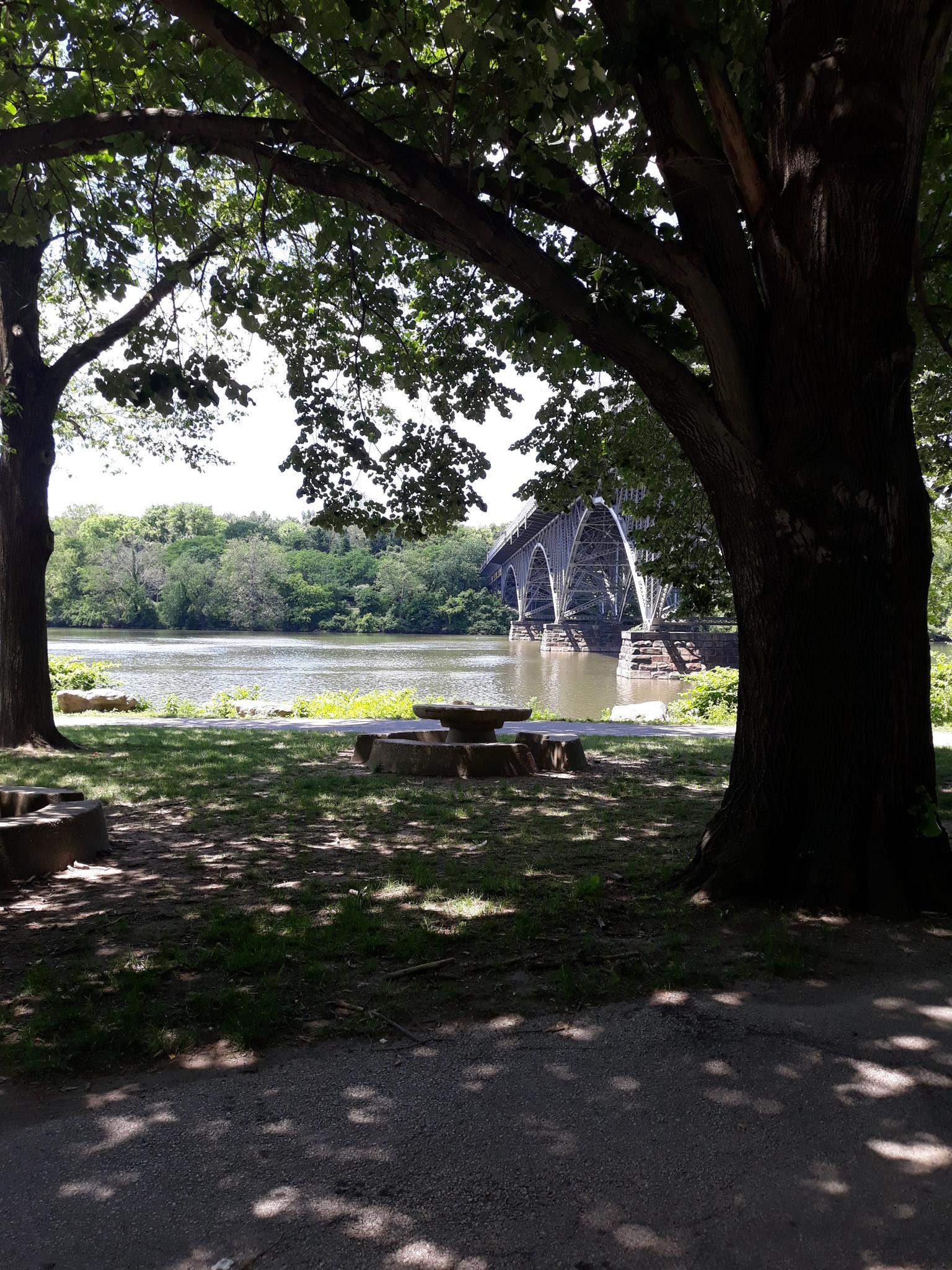 Shady park with large trees, river, and an arched bridge in distance.