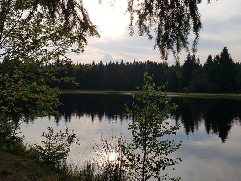 Wüster Teich wandelroutes en hikes Komoot