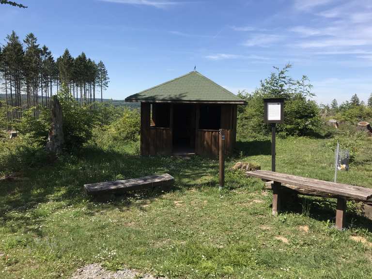 Glockenbuche – Ausblick auf Kallenhardt Runde von Scharfenberg | Wanderung | Komoot