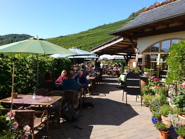 Michaelishof Mayschoss Wanderungen und Rundwege komoot