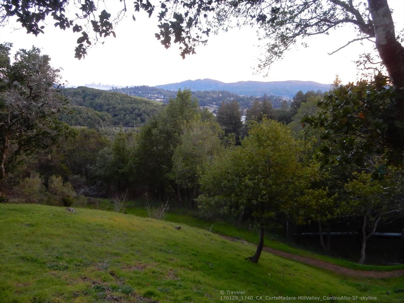 Grassy hillside and dense forest with distant hazy mountains and a city skyline.