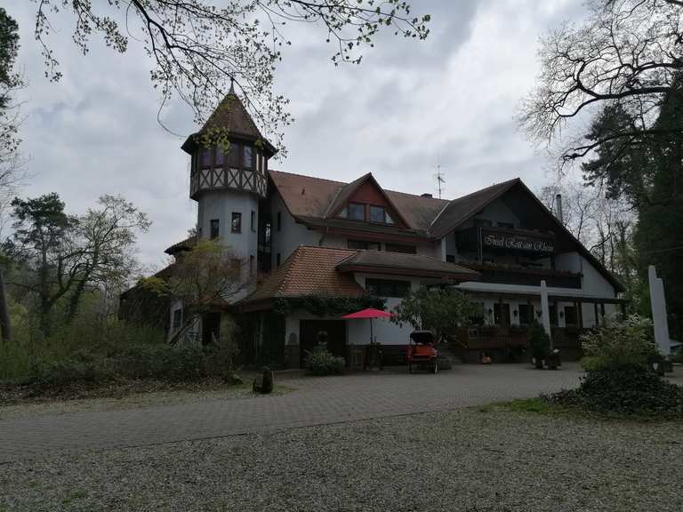 Fish restaurant 