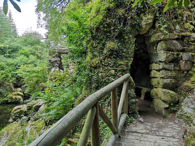 The Hermitage and Swimming Spot Routes for Walking and Hiking | Komoot