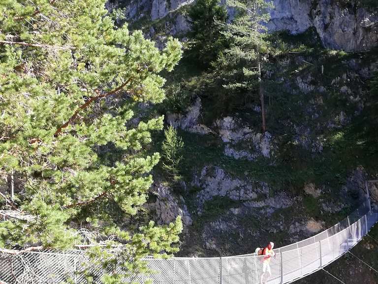Leitersteig Wanderungen und Rundwege komoot