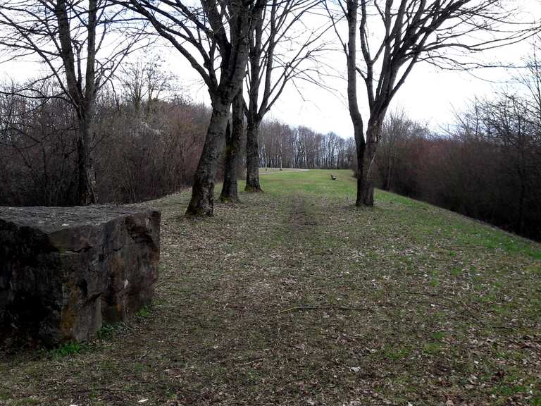 bernhartsh-he-wanderungen-und-rundwege-komoot