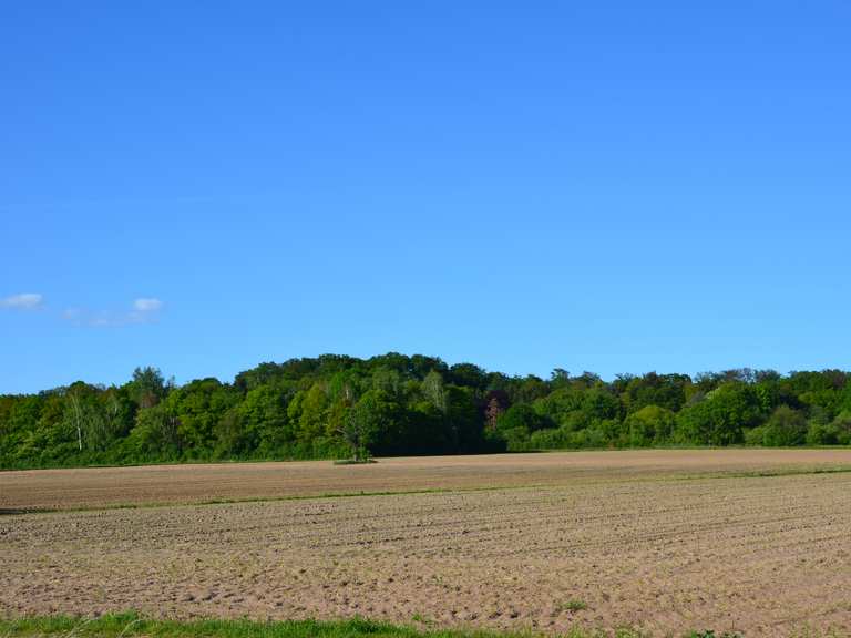 Koberstädter Hütte ErnstLudwigTeich Runde von Egelsbach Wanderung