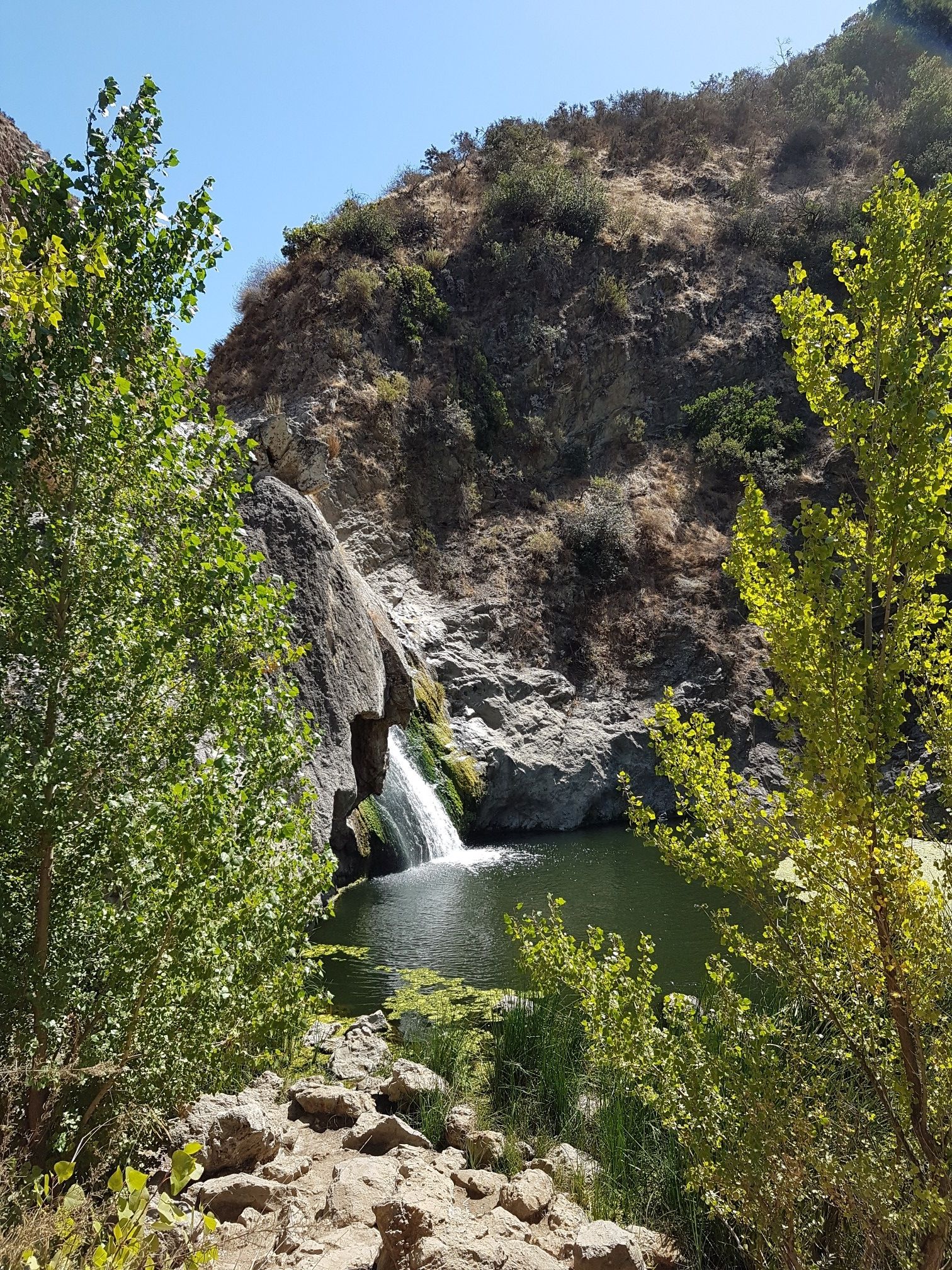 Waterfall flowing into a pool, surrounded by rocky hills and green trees. - Paradise Falls via Fort Trail and Wildwood Canyon