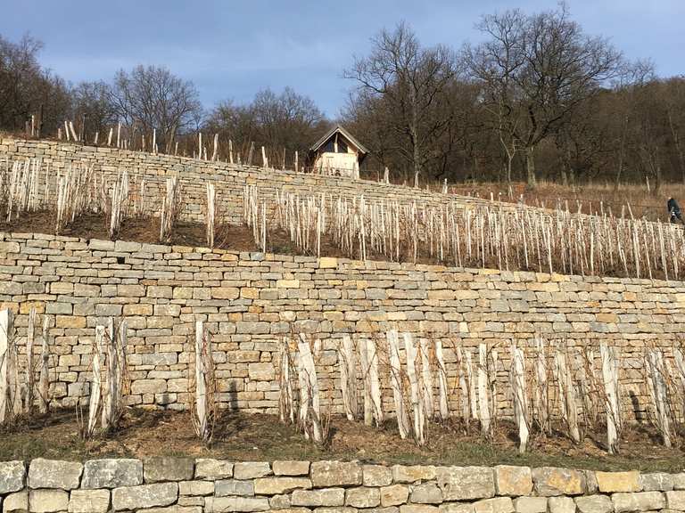 Geschichtsweinberg Iphofen Wandelroutes En Hikes Komoot