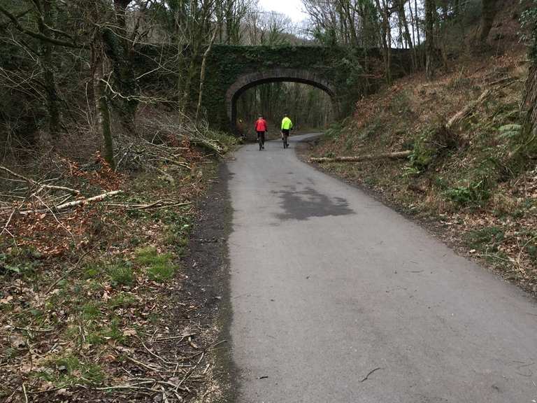 Plym valley 2024 cycle trail