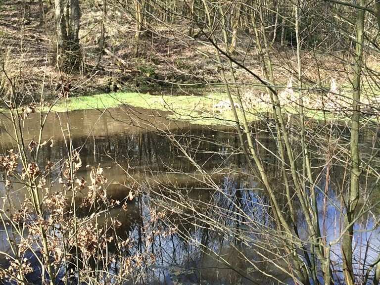 Sieben Teiche Routes for Walking and Hiking Komoot