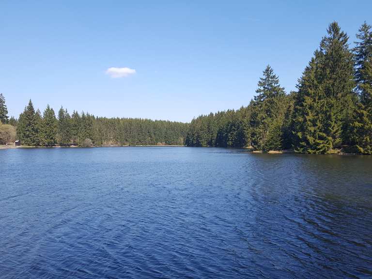 Ziegenberger Teich Wanderungen und Rundwege komoot