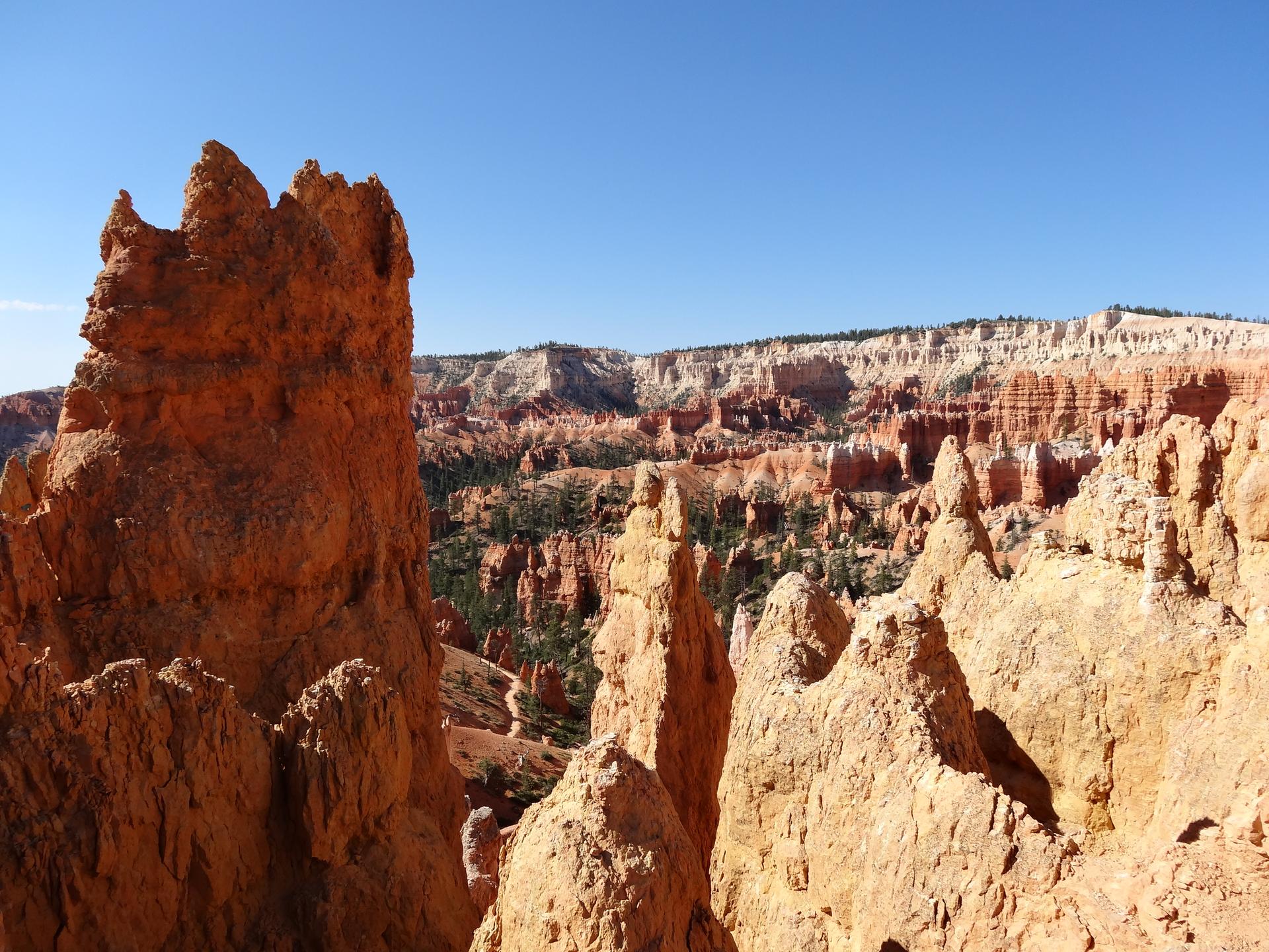 Close-up of tall orange rock spires and distant canyon under clear blue sky.