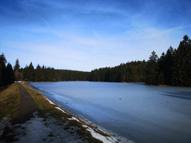 Ziegenberger Teich Wanderungen und Rundwege komoot
