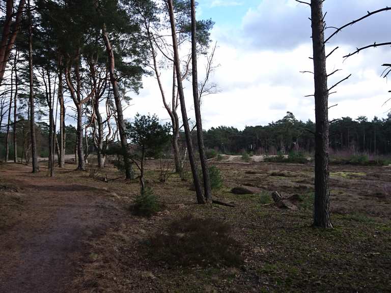 Holmer Sandberge Wanderungen und Rundwege komoot