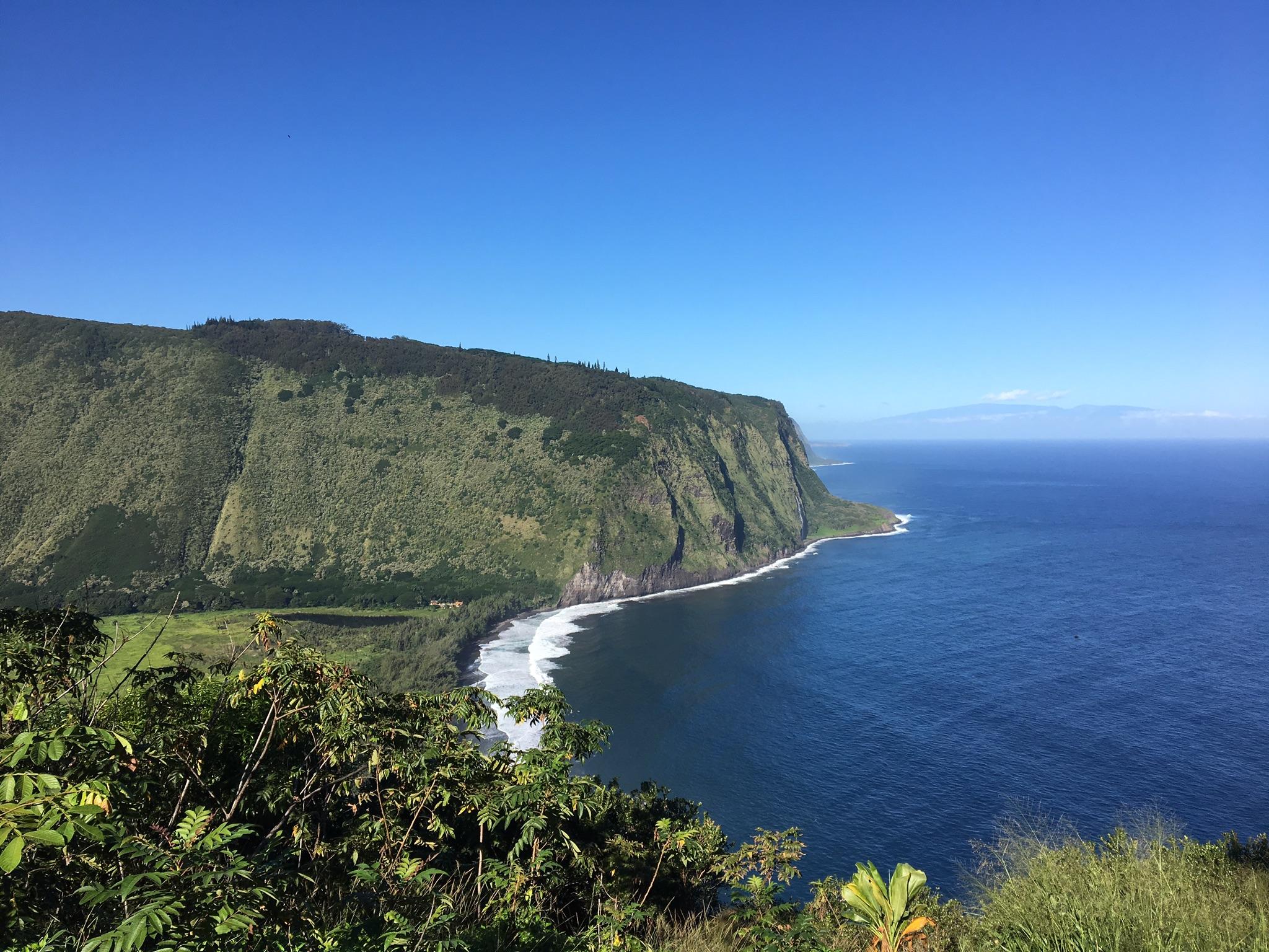 Lush green coastal cliffs meet a blue ocean under a clear sky.