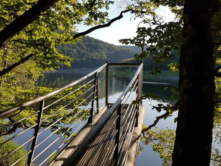 Skywalk Edersee - Mountain Bike Trails & Tracks | Komoot