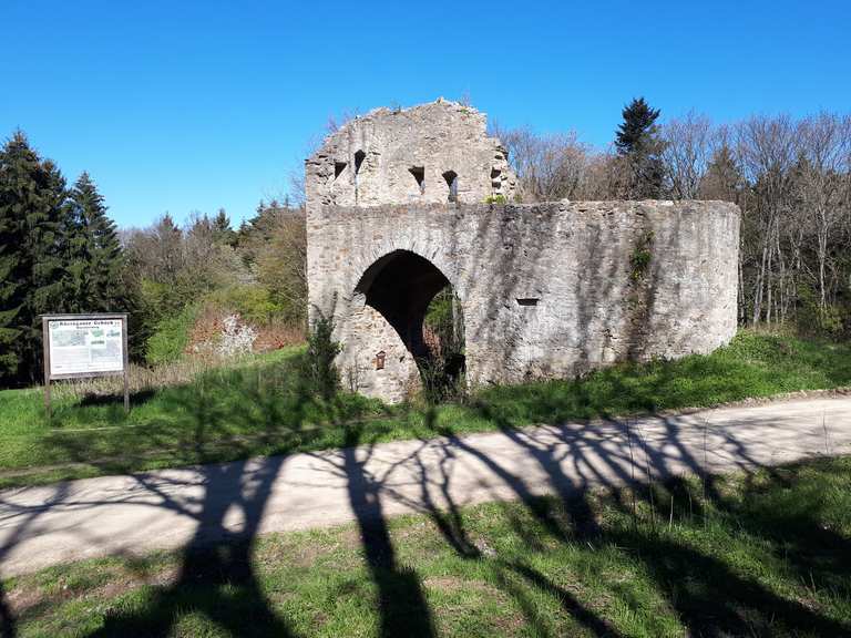 Mapper Schanze: Wanderungen und Rundwege | komoot