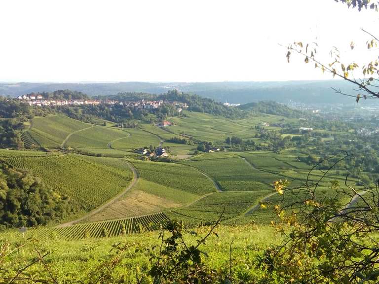 Kappelberg Radtouren und Radwege komoot