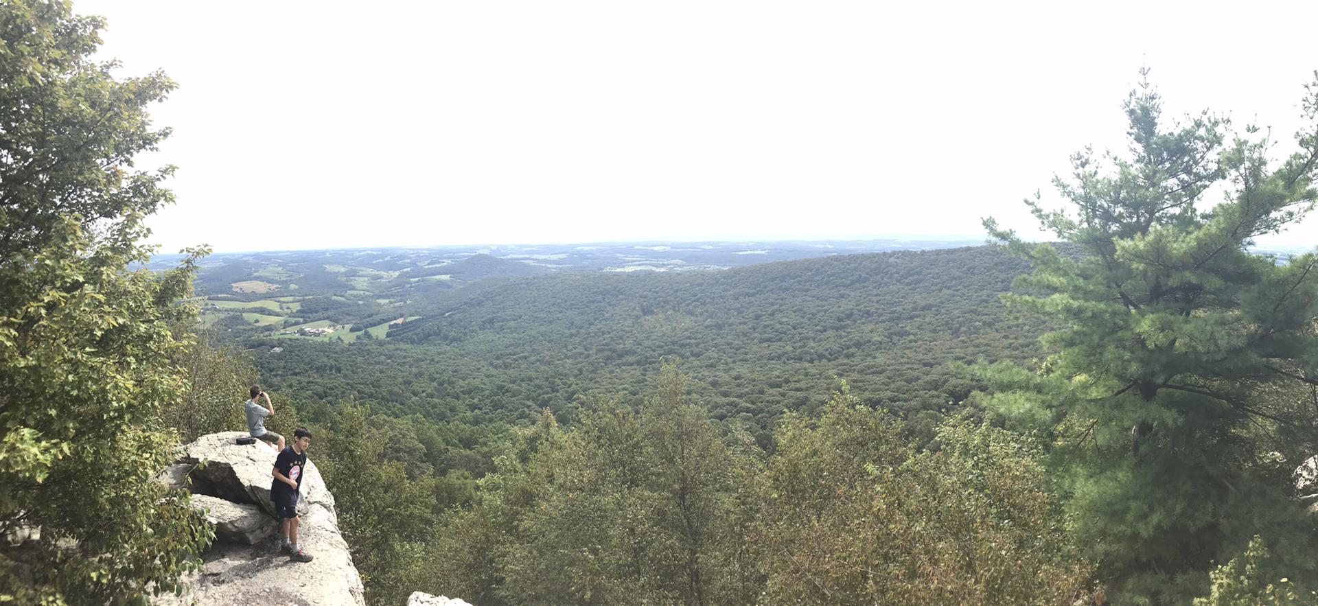 Two people on a rocky cliff overlooking a vast green forest. Bright day.