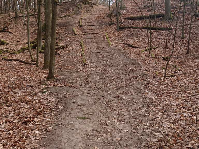 Treppe im Wald - Berlin, Deutschland | Wandertipps & Fotos | Komoot