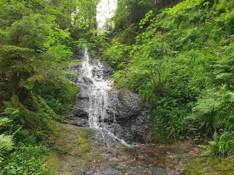 lac-de-g-rardmer-saut-de-la-bourrique-runde-von-gerdsee-wanderung