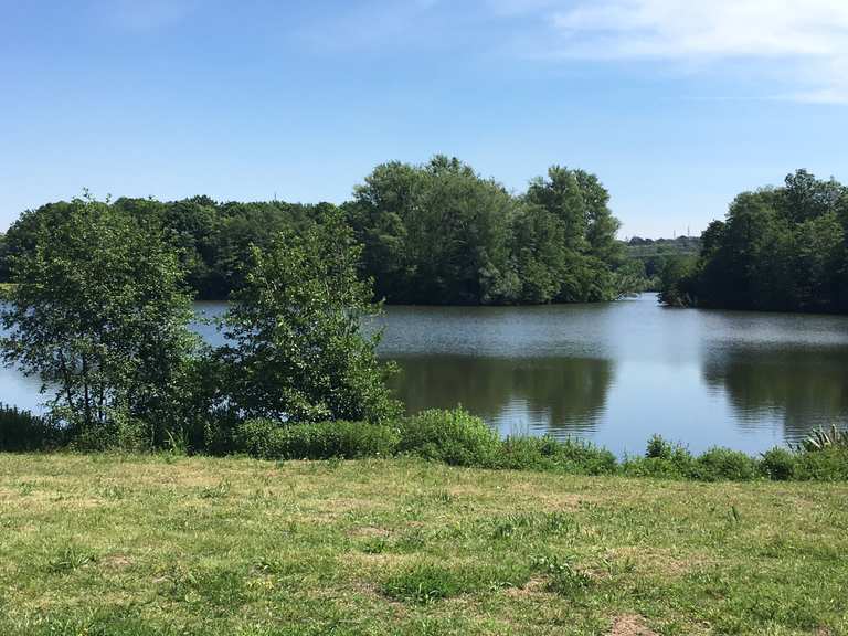 Käfertränke Hattorfer Teich Runde von Wolfsburg Hauptbahnhof
