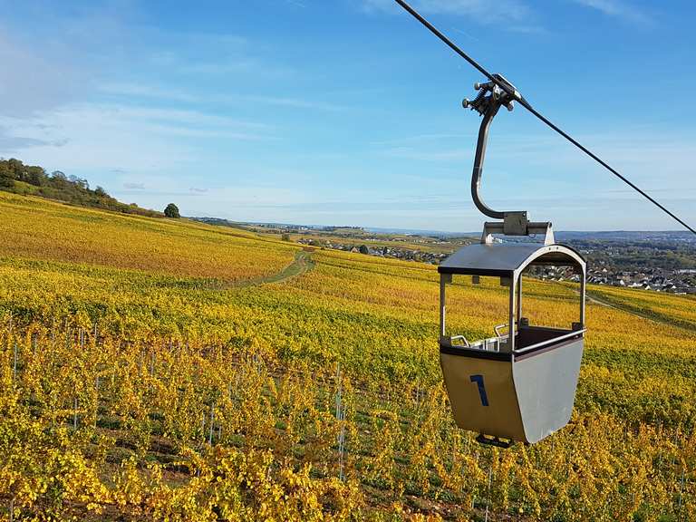 Seilbahn Rüdesheim Routes for Walking and Hiking | Komoot