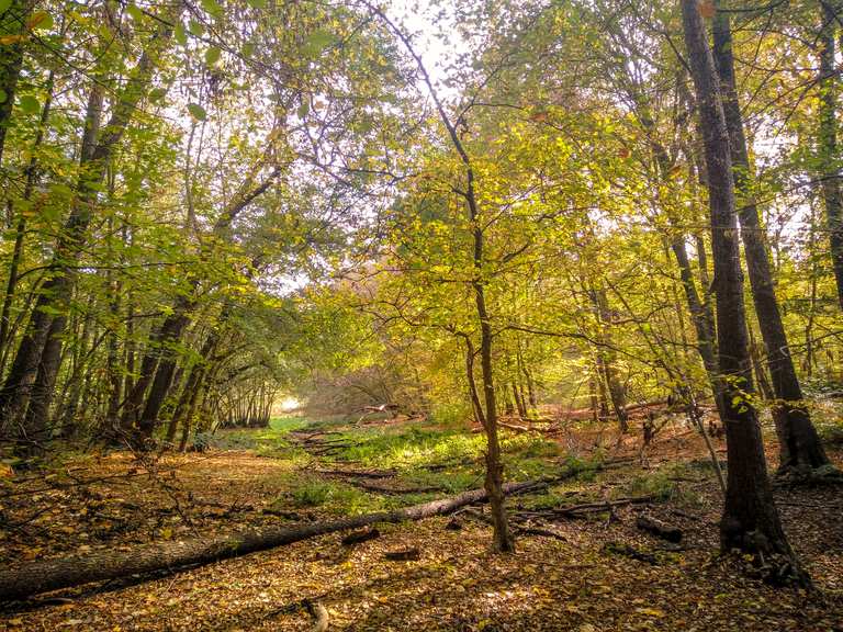 Düsterer Teich Radtouren und Radwege komoot