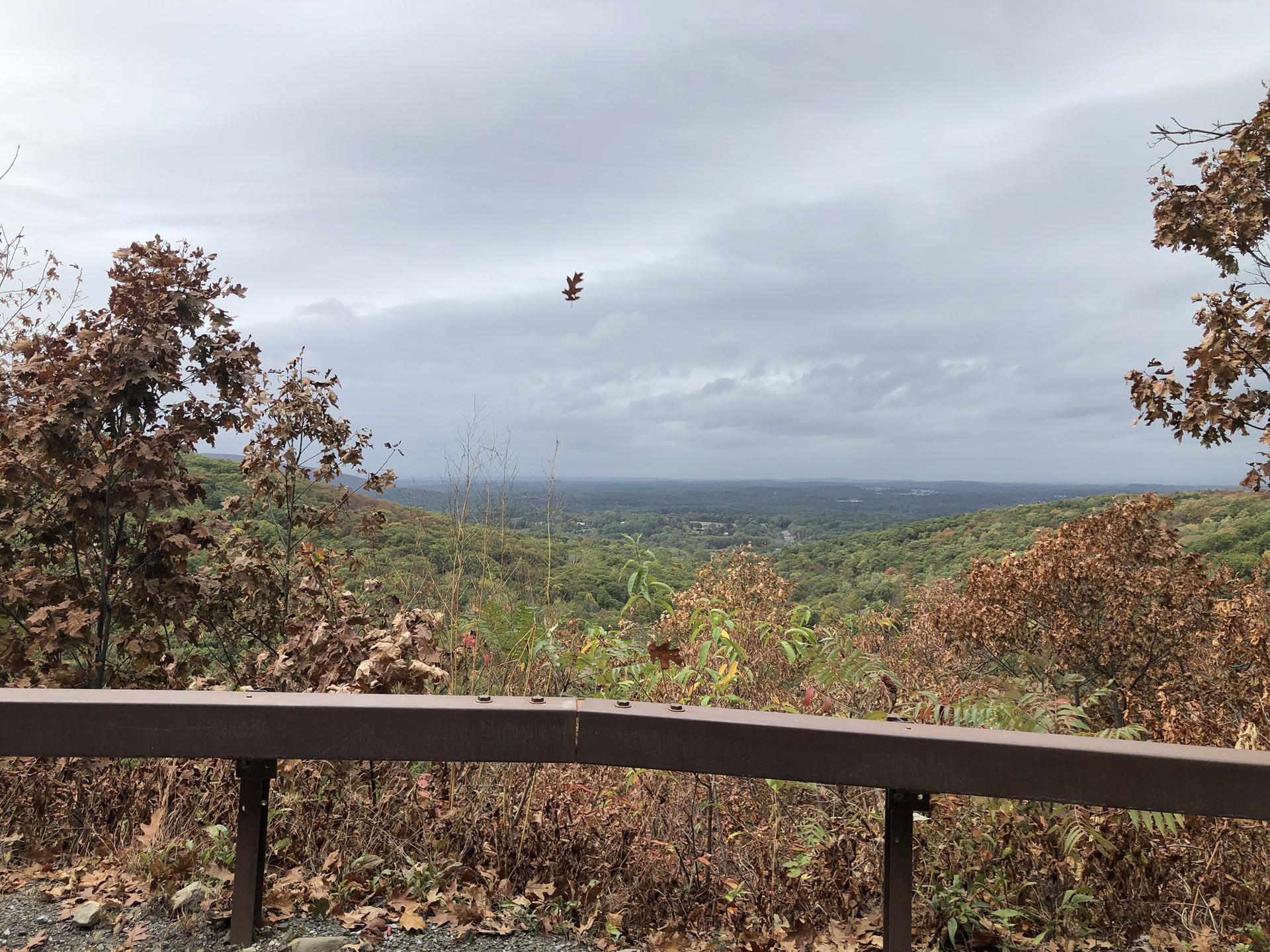 Overcast view of a vast forested valley with autumn trees and a guardrail.