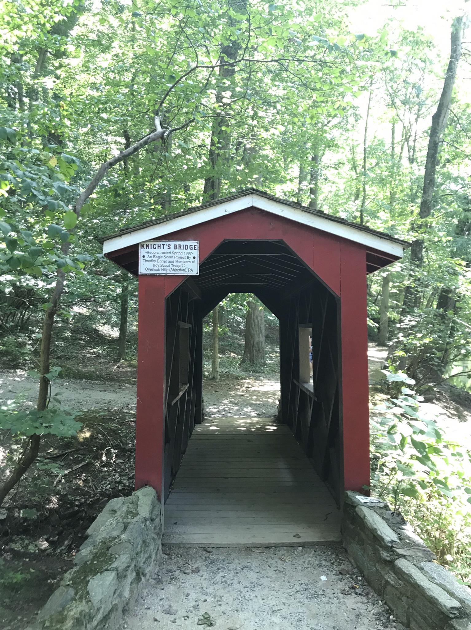 A small red covered bridge on a path through a sunlit green forest.
