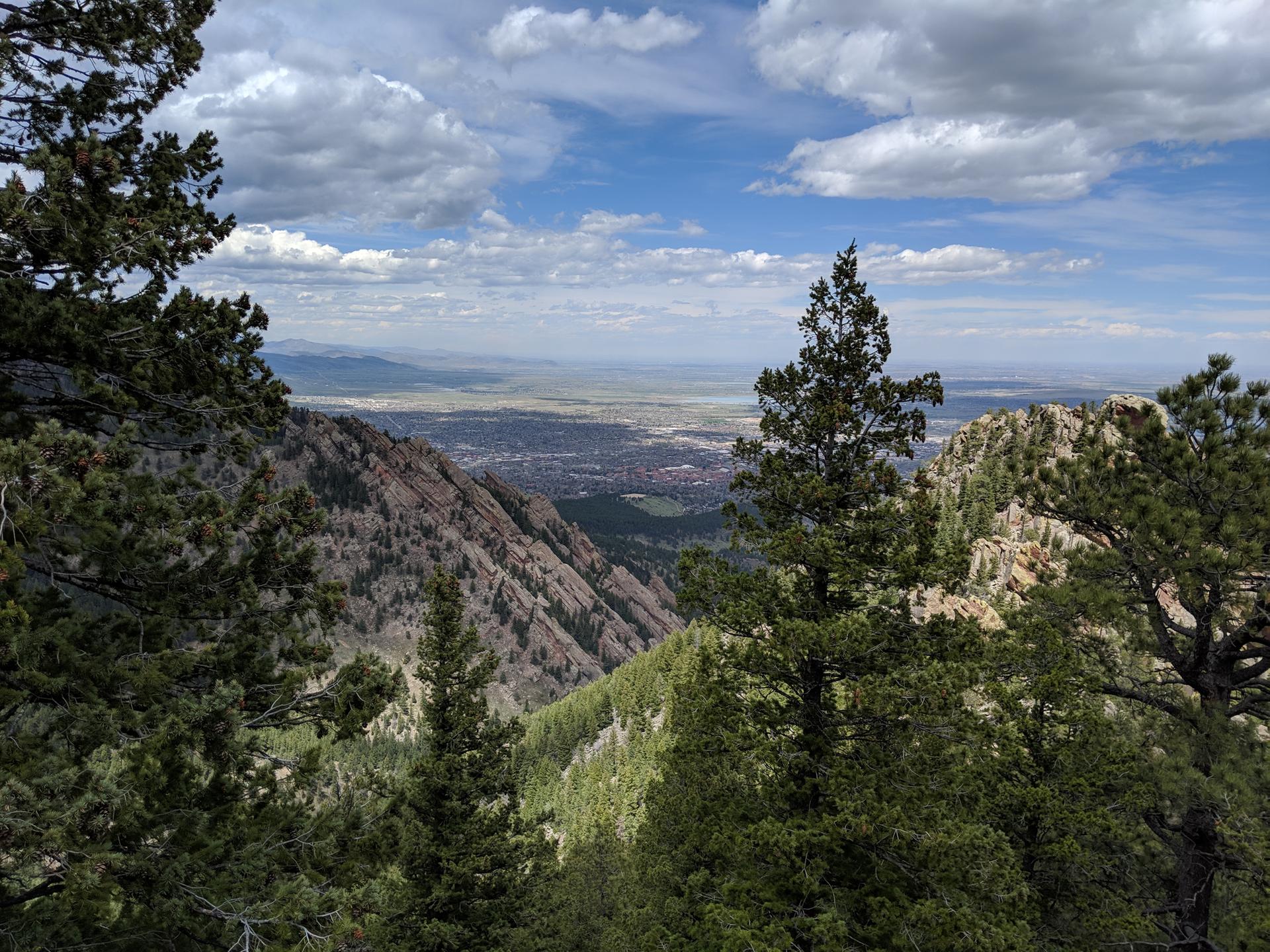 Panoramic view of a valley and distant city framed by pine trees.