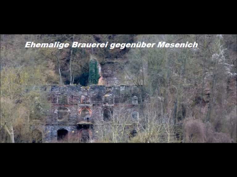 Ruine der alten Brauerei Senhals – Moselschleife bei Briedern Runde von ...