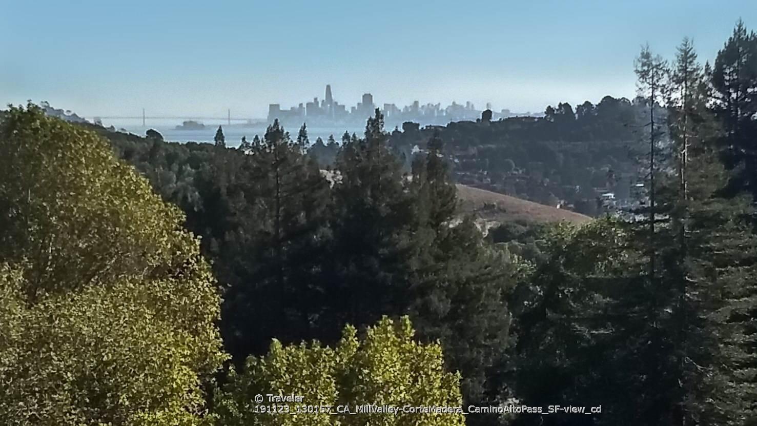 Hazy distant city skyline and bridge over water, framed by trees.