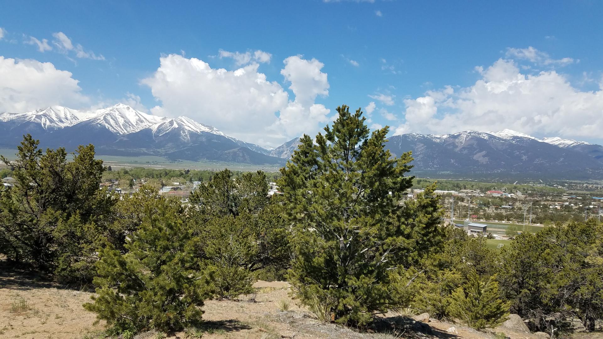 Sunny mountain landscape with evergreen trees, a distant town, and snow-capped peaks.