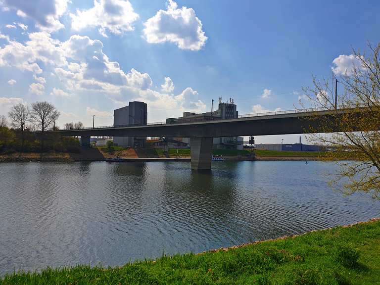 Altrheinbrücke Sandhofen / Mannheim 🚴‍♂️: Rennradfahren und ...