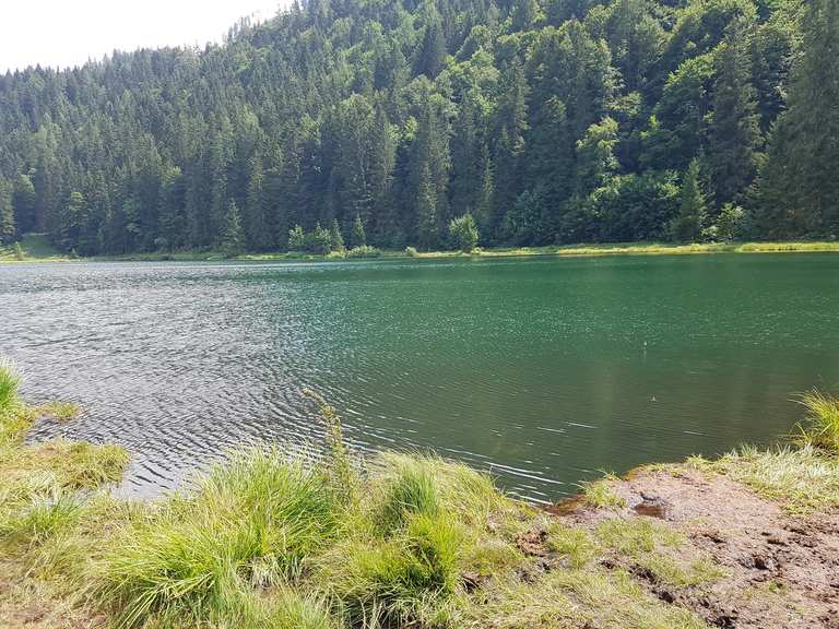Spechtensee Wanderungen und Rundwege komoot
