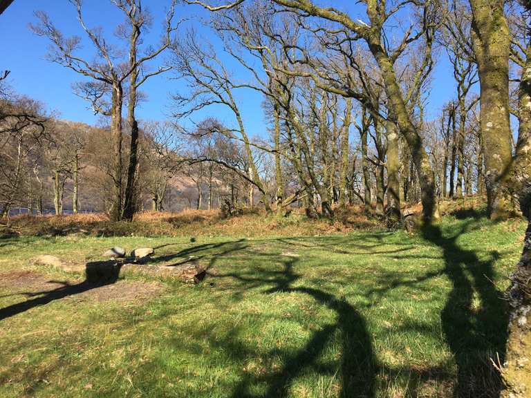 Wild Camping On The Shores Of Loch Lomond Stirling Scotland Hiking Tips Photos Komoot