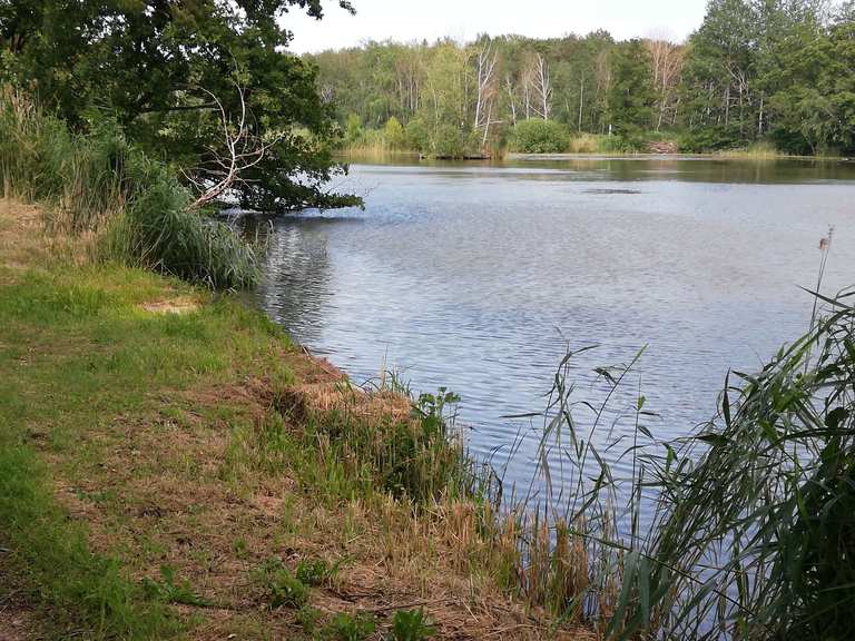 Ullersdorfer Teiche Wanderungen und Rundwege komoot