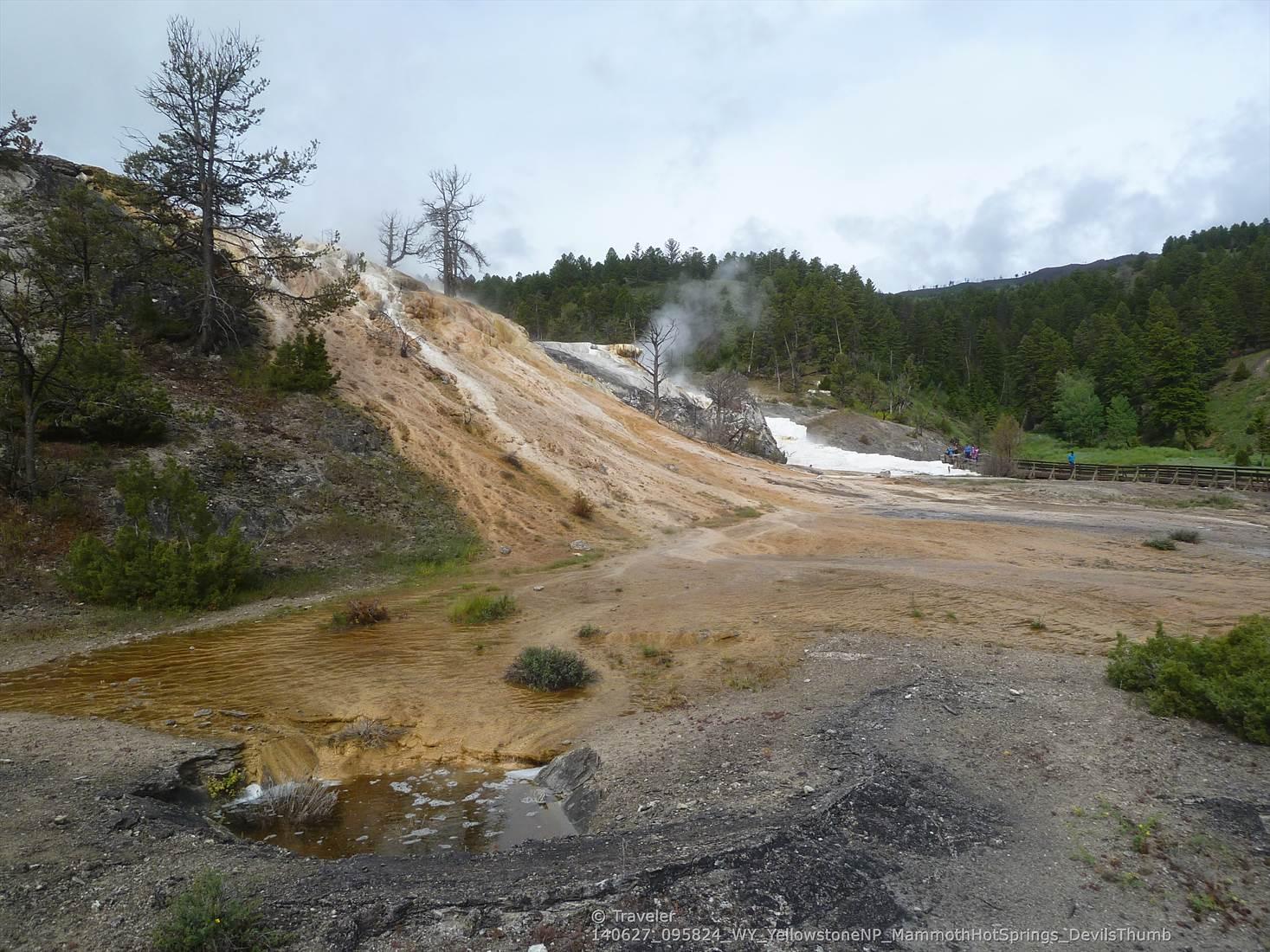 Steaming mineral terraces and pools in a valley with trees under an overcast sky.