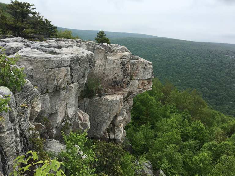 Lion's Head Rock via Red Creek Trail — Dolly Sods Wilderness hike