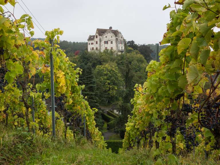 Schloss Salenstein: Wanderungen und Rundwege | komoot