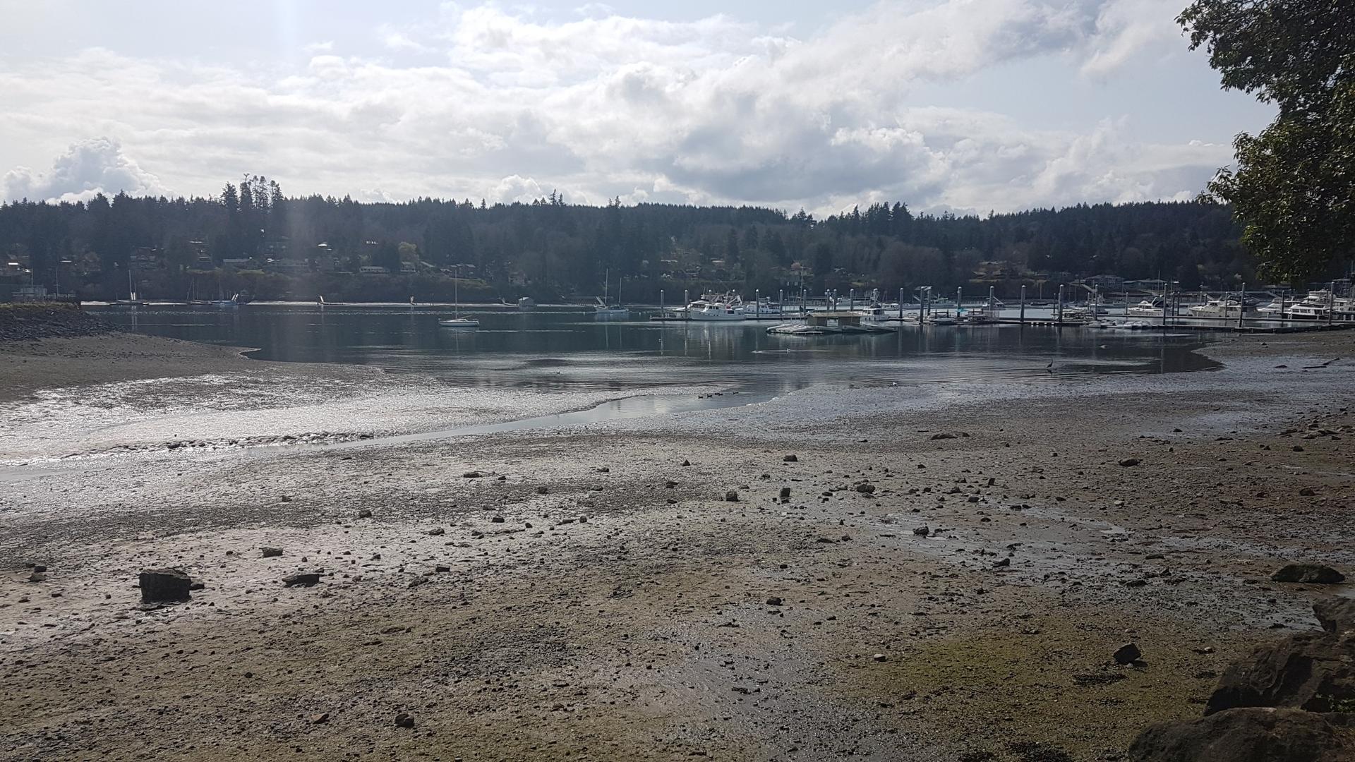 Expansive muddy tidal flats with a distant marina under a cloudy sky.