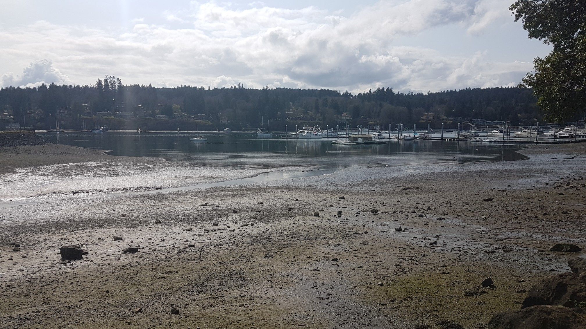 Expansive muddy tidal flats with a distant marina under a cloudy sky. - Waterfront park loop from east ferry terminal