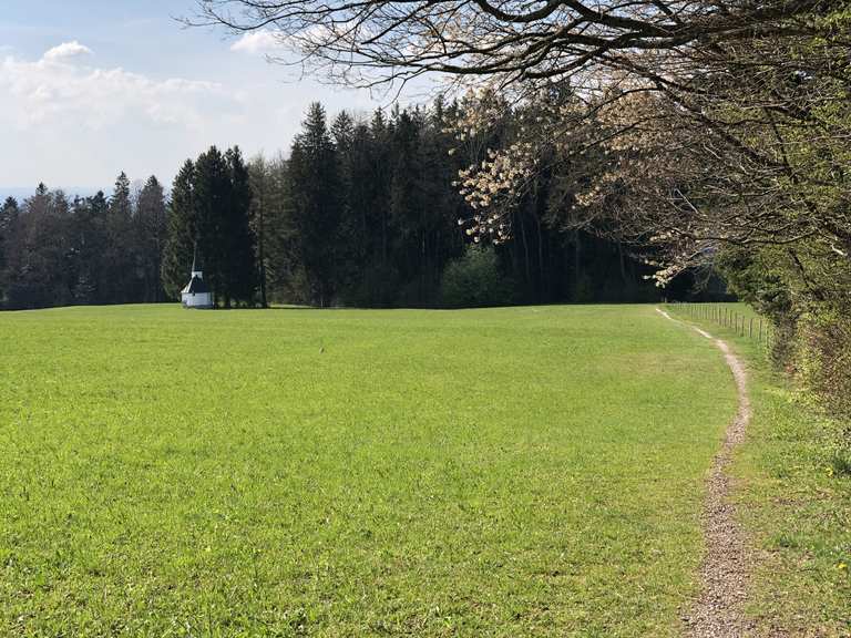 Ratzinger Höhe: Wanderungen und Rundwege | komoot