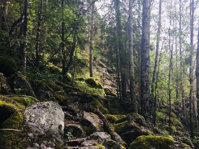 Heidal Wanderungen und Rundwege komoot