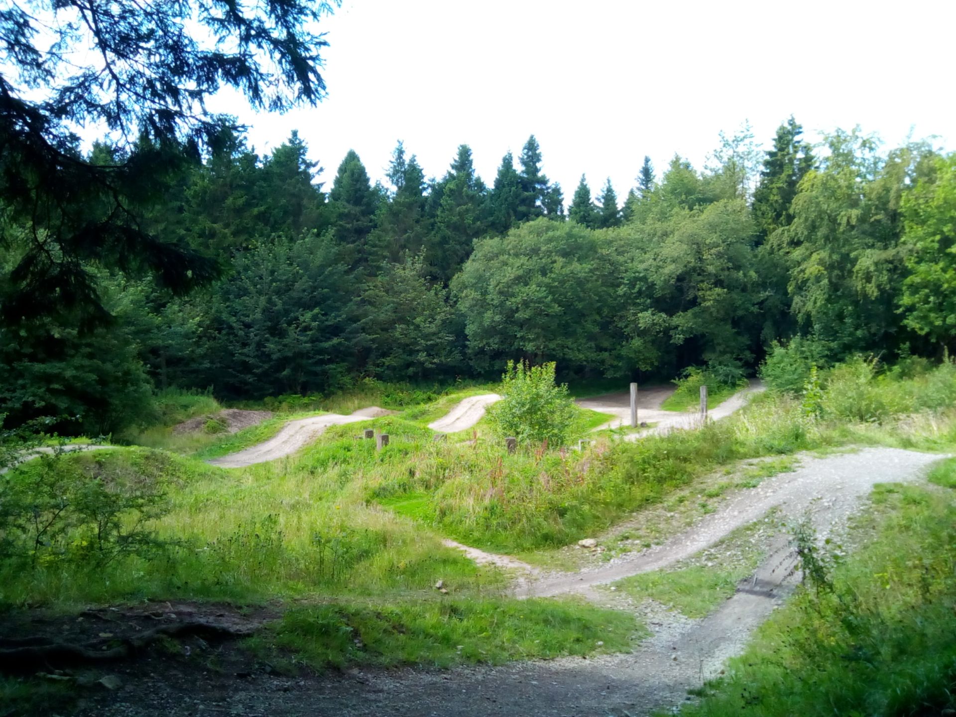 Walking and running trails at Dalby Forest | Hiking Collection by komoot