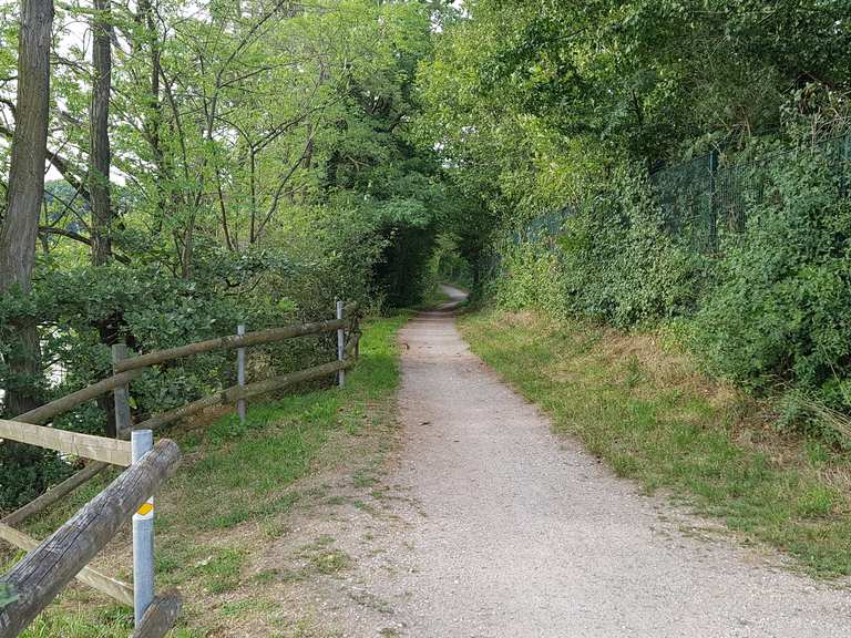 Radweg am Rhein entlang Bad Säckingen, Waldshut