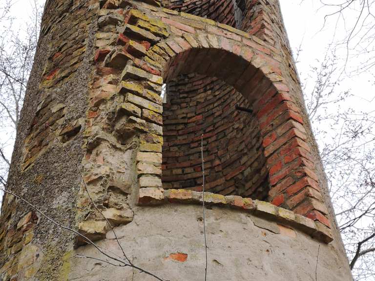Mäuseturm Wanderungen und Rundwege komoot